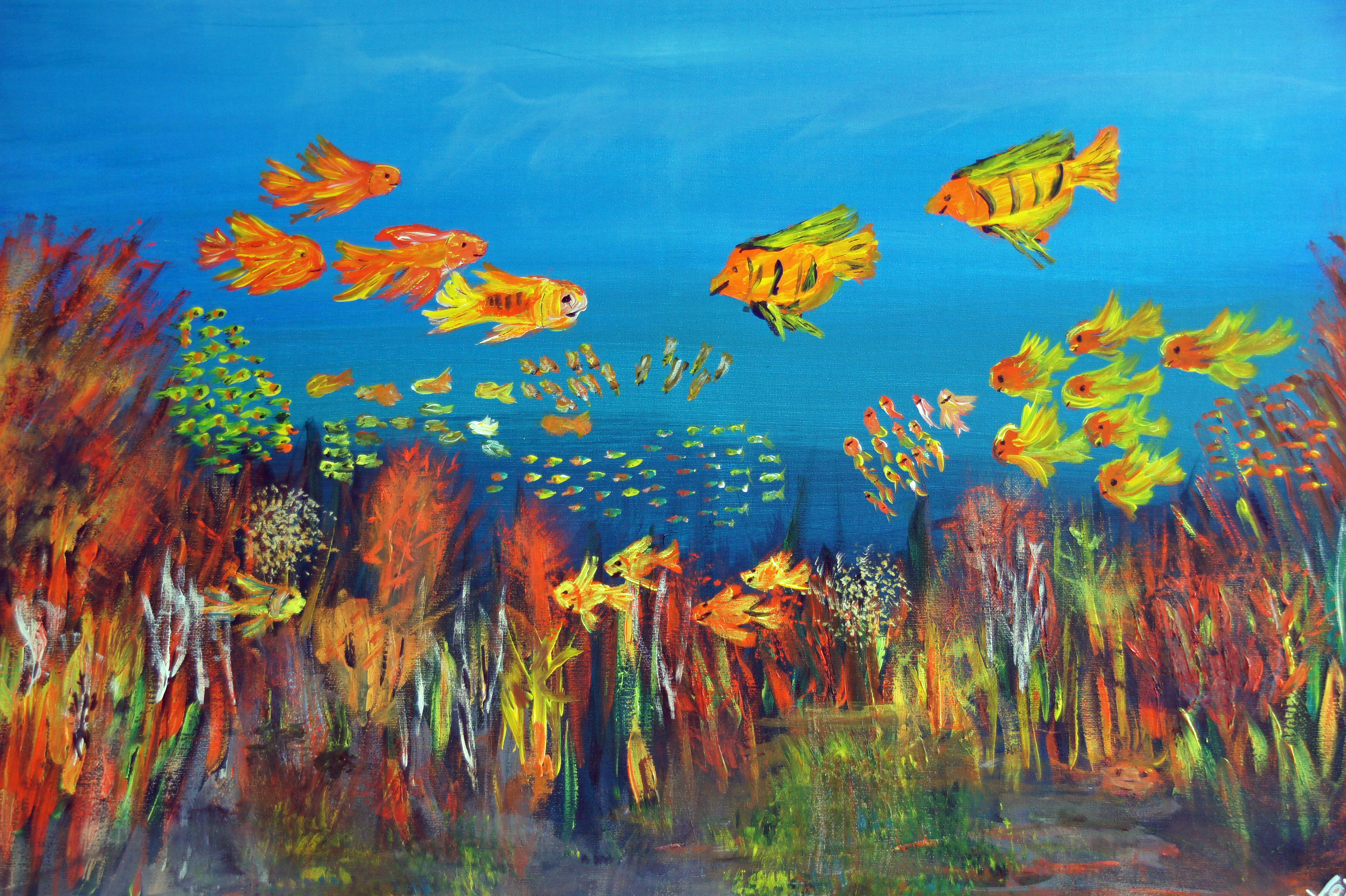 Coral Reef 2011 verkauft