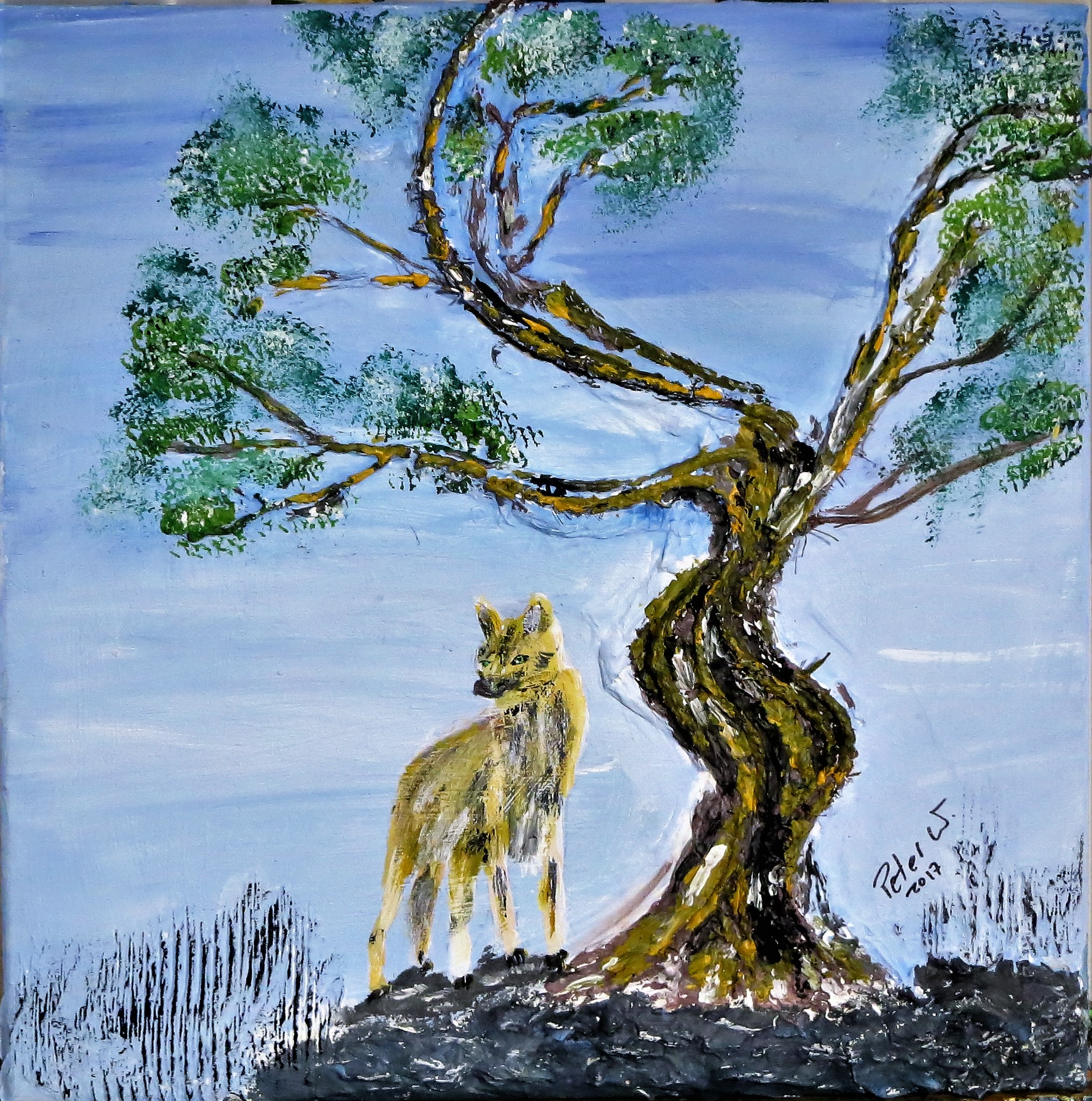 Der einsame Wolf Mischtechnik auf Leinwand 40 x 40 cm