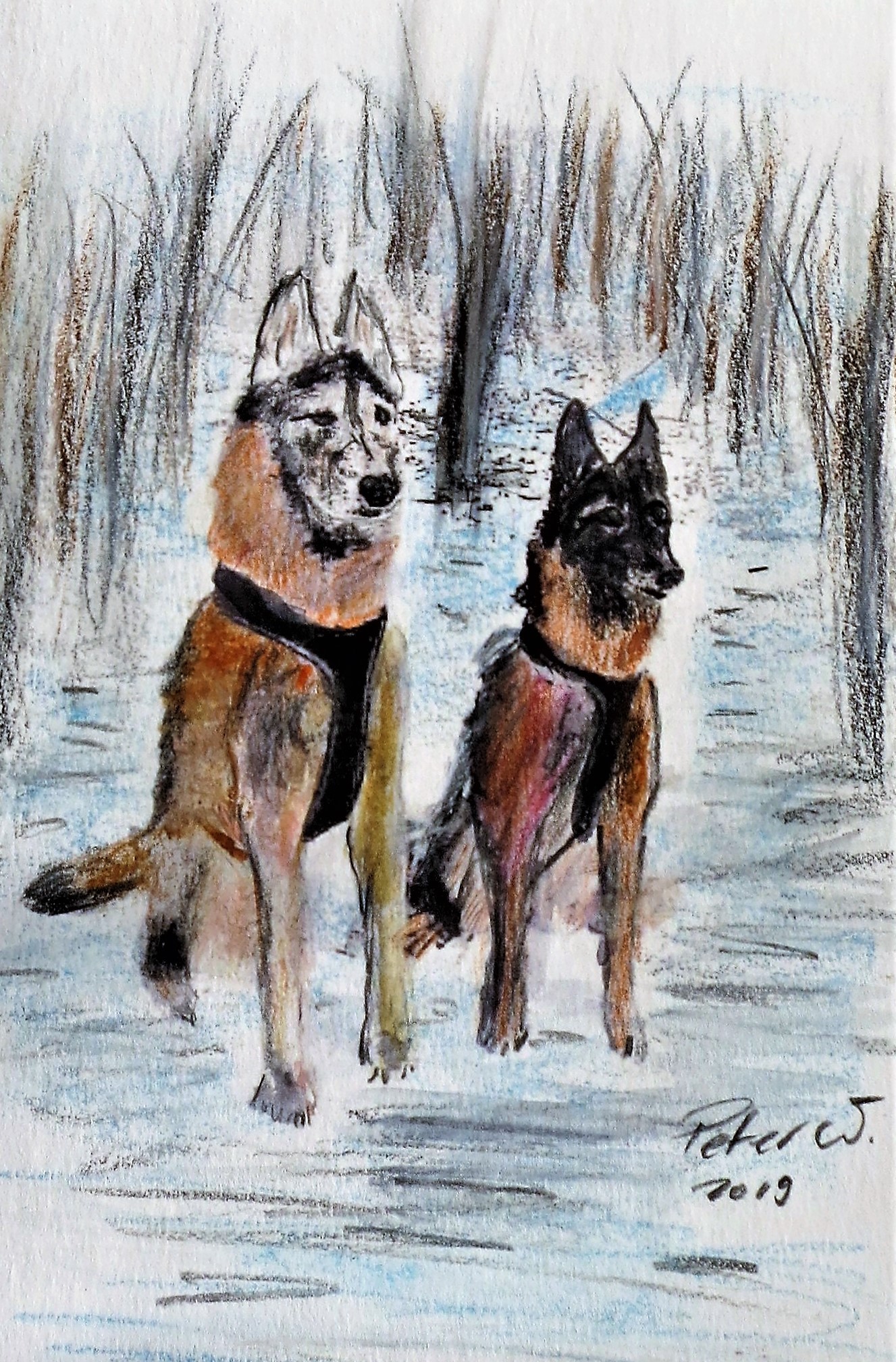 Schäferhunde im Wald. Karte Format A5