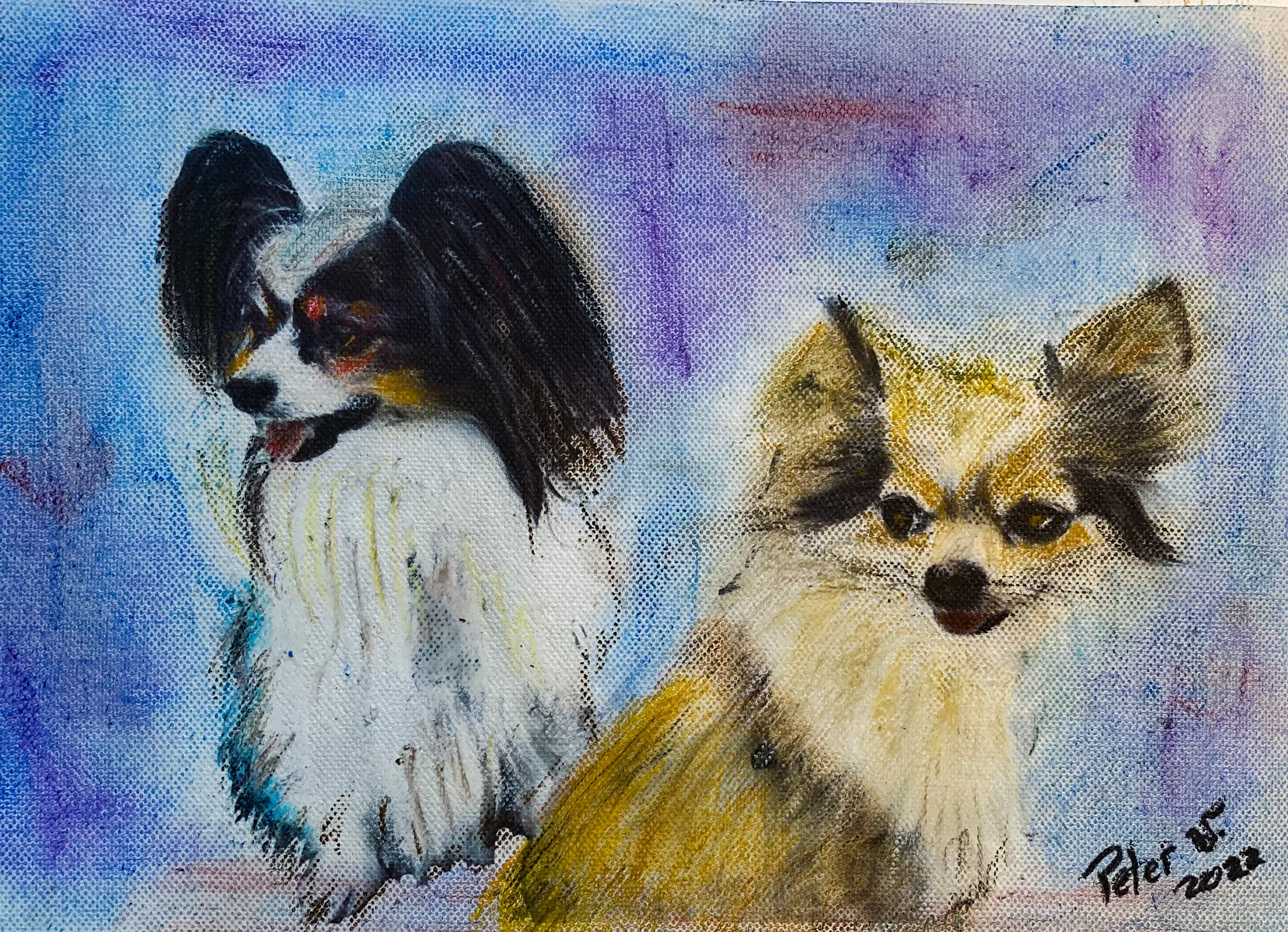 Sophie und Zickzack 1